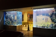 Niranta both tanks from inside hotel