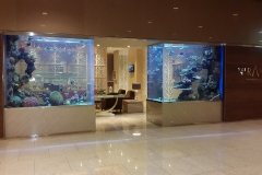 Niranta both tanks from outside hoteljpg