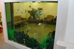 freshwater 10