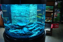 freshwater 16