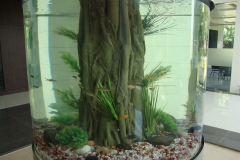 freshwater 5
