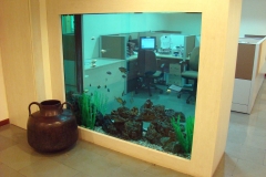 freshwater 7