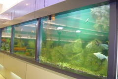 freshwater-8_slider01