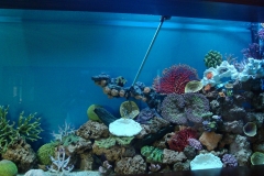 marine-15_slider02