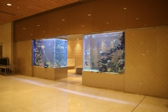 marine-21_slider03