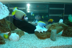 marine 27_slider05