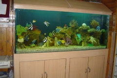 marine 30