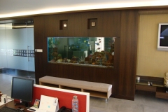 marine 32