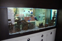 marine-33_slider07
