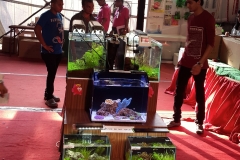 planted 10
