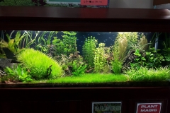 planted-6_slider08