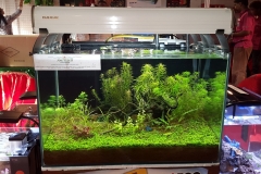 planted 8