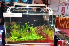 planted 9
